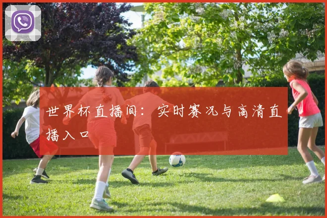 世界杯直播间：实时赛况与高清直播入口