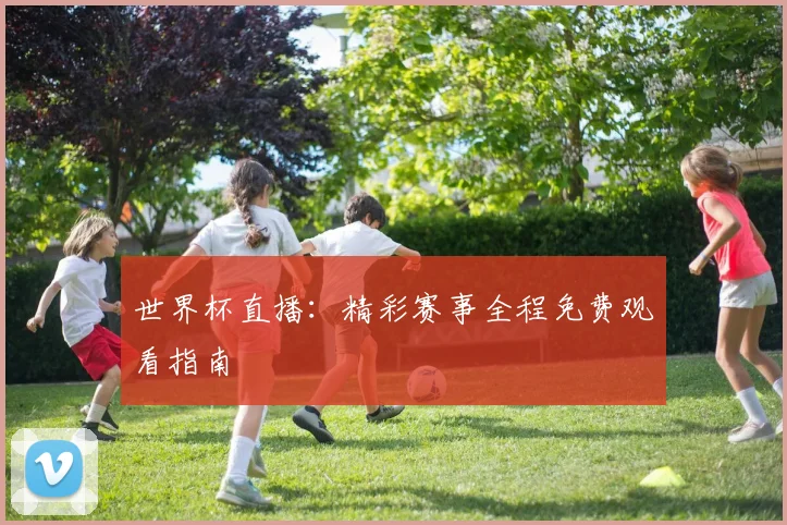 世界杯直播:精彩赛事全程免费观看指南