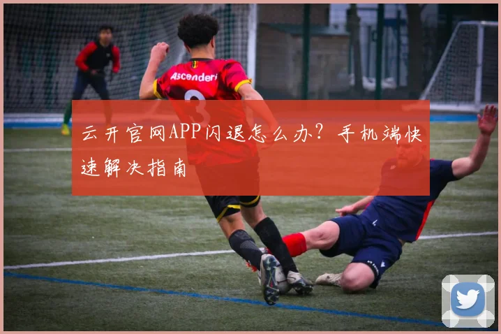 云开官网APP闪退怎么办?手机端快速解决指南